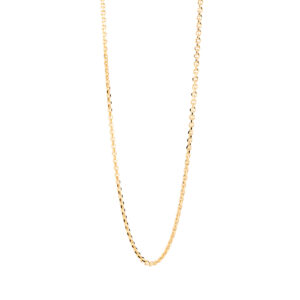 The New Essentials essential chain necklace