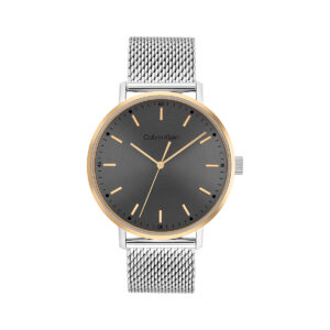MODERN MESH WATCH